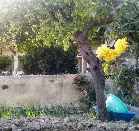 1-bedroom Beach In Cute Town * Paralia (Evia)